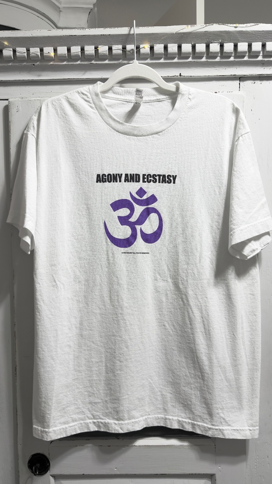 Big Boy Agony & Ecstacy Tee Size L Cold World Soul Search Hardcore No Warning