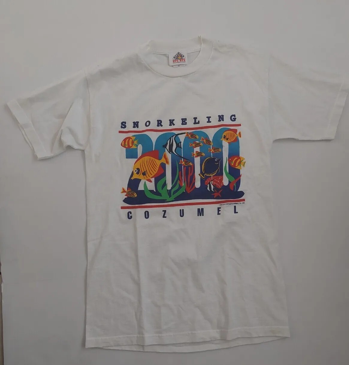 Vintage Y2K T Shirt 1999 Snorkeling Cozumel 2000 Fish Print Marine gallery