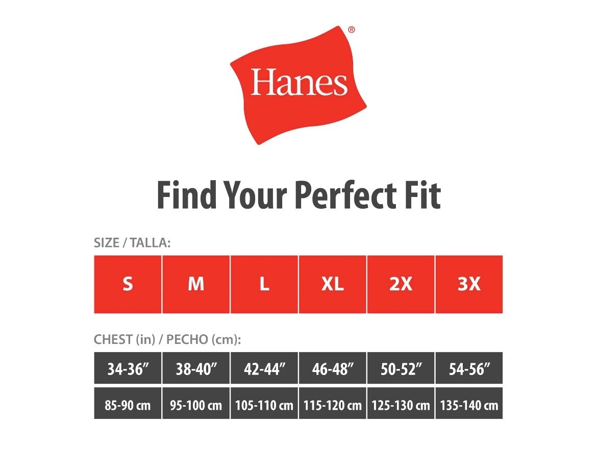 Hanes 2135Z0 T-Shirt for Men, Size L - White gallery