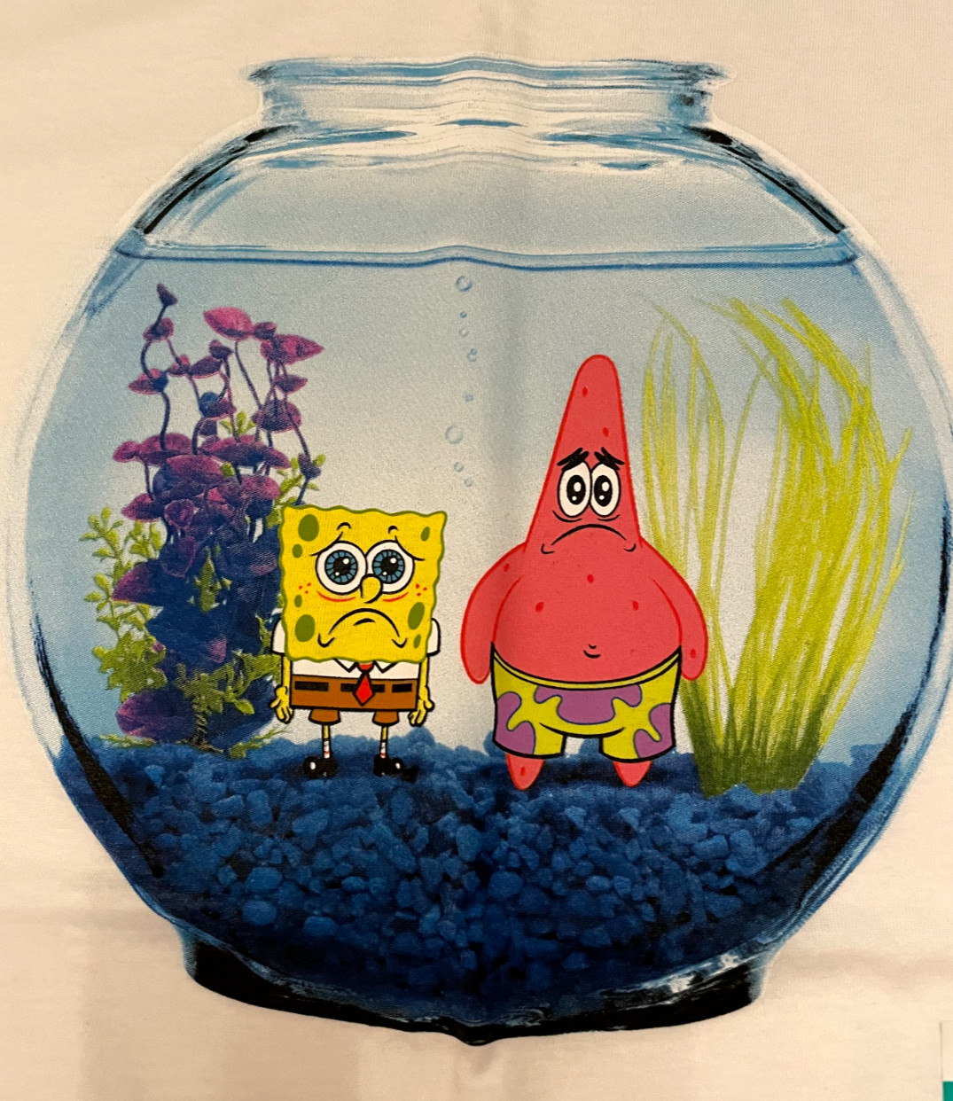 Men's Adult XL Spongebob Squarepants Fishbowl "PETS" White T-Shirt, Nickolodeon gallery