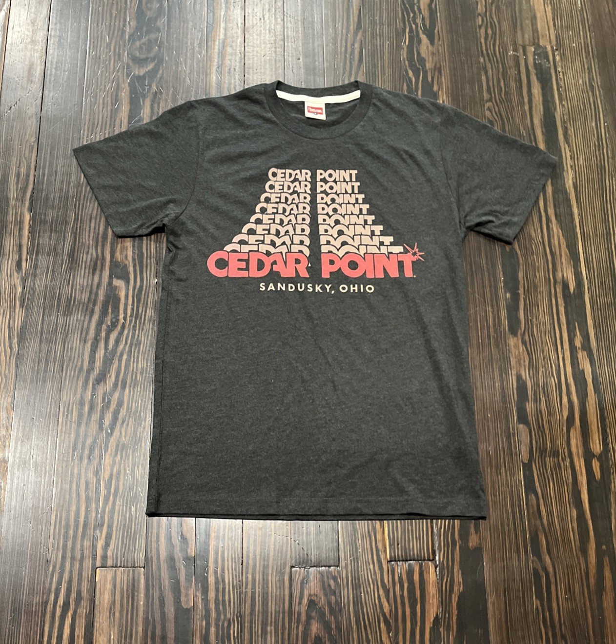 Homage Cedar Point T Shirt Men’s Small Dark Gray Polyester Cotton Rayon