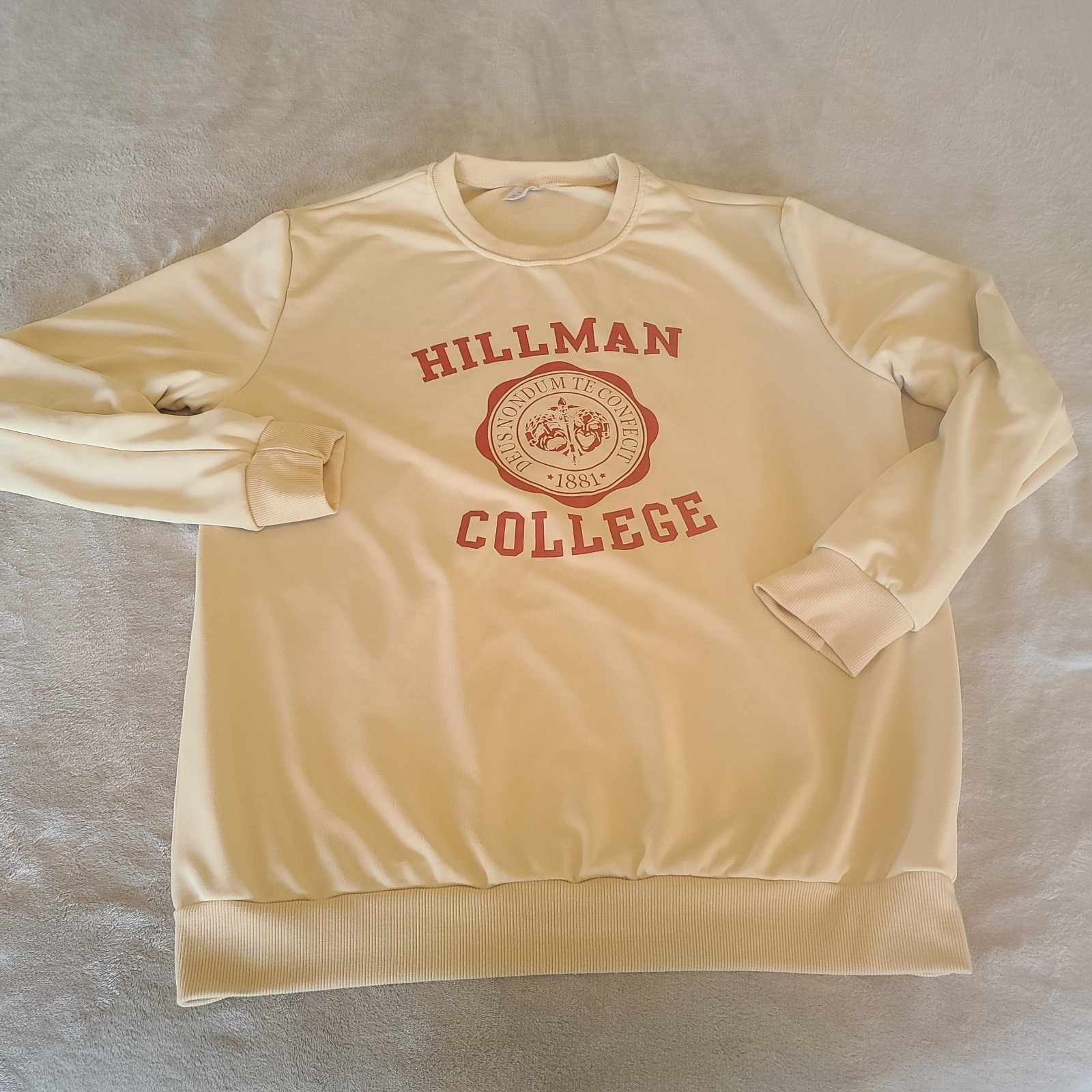 Hillman College Mens Extra Large Brown Sweatshirt Hoodie Pullover gallery