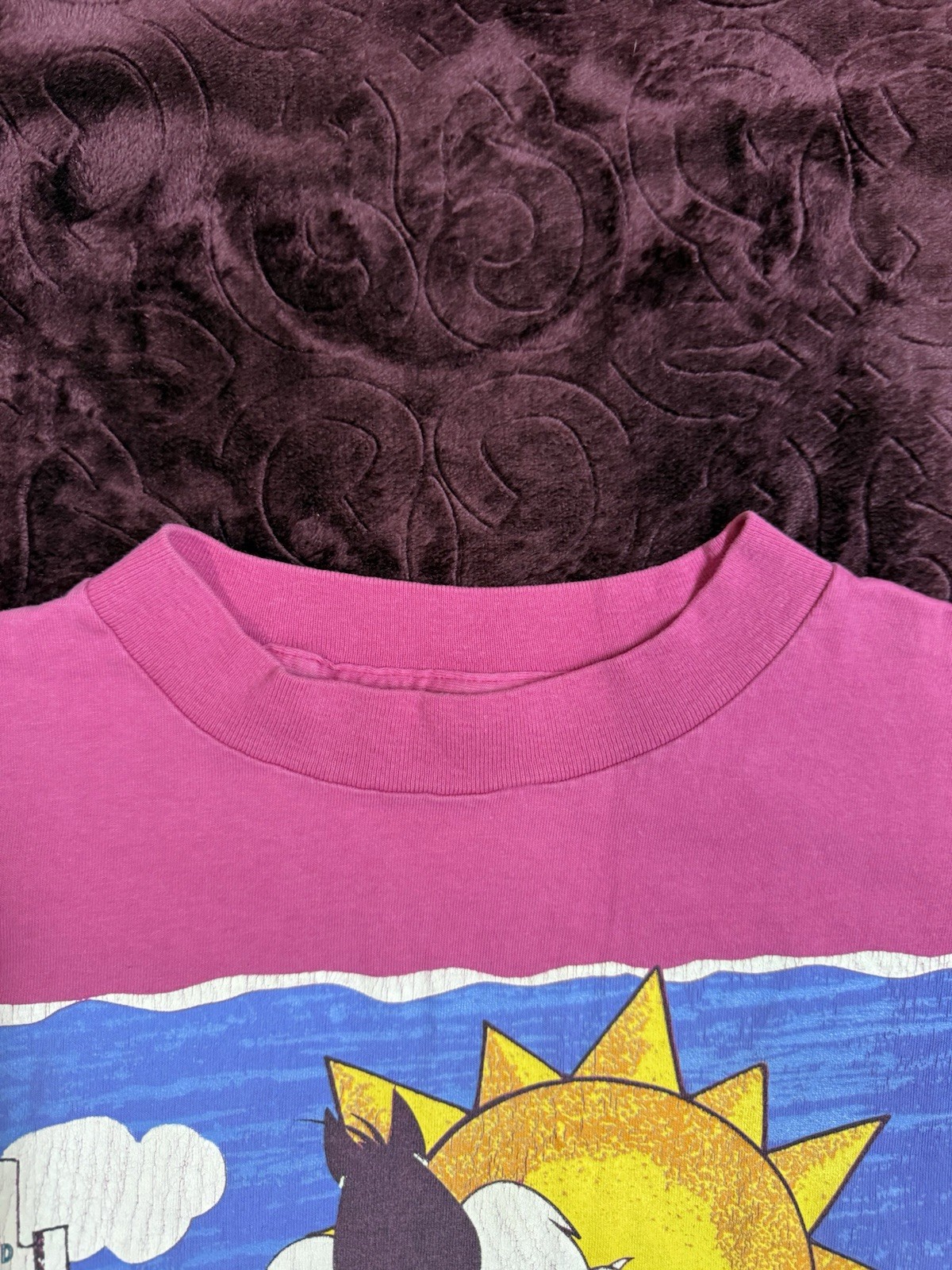 Vintage 94’ Tweety Bird Sylvester The Cat Sunscreen Beach Graphic Shirt Size Xl gallery