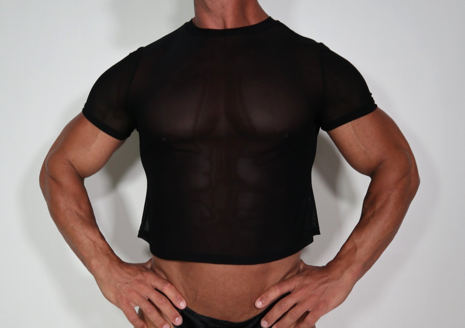 ADULT SHORT SLEEVE CROPPED SHEER SHIRT SIZE M/L gallery