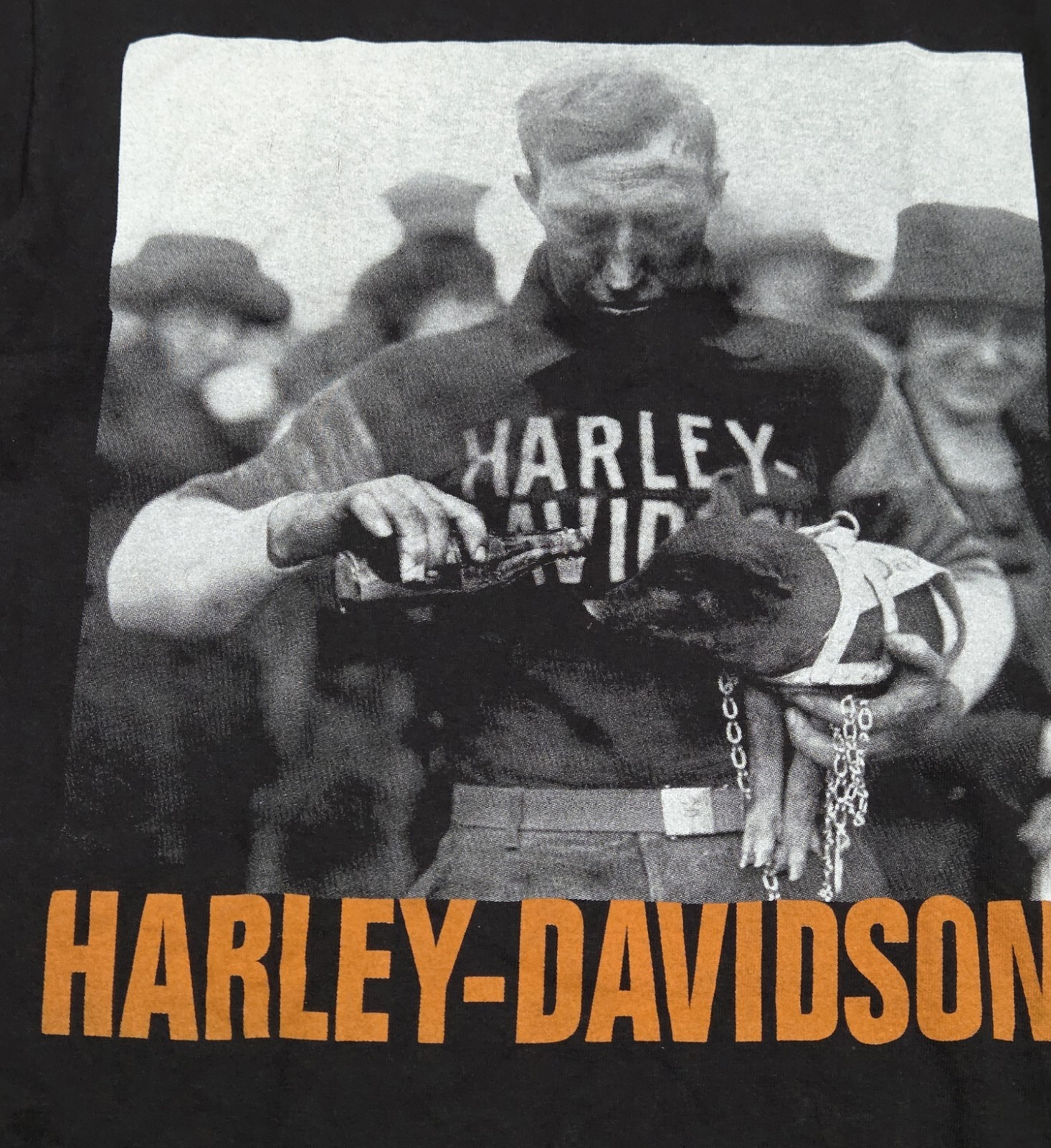 Harley Davidson Museum Milwaukee WI Size Medium (210) gallery