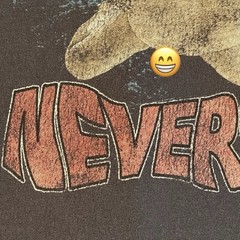 NIRVANA Nevermind Licensed Grunge Rock T-Shirt 2022. LARGE Preowned NV