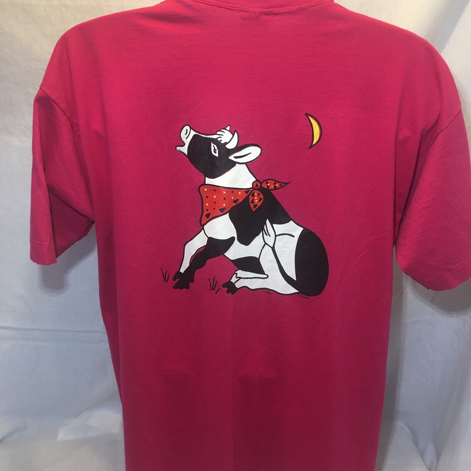 Vintage Shirt XL Fruit Loom Best Single Stitch Colorado Pink Cow Graphic 90s gallery