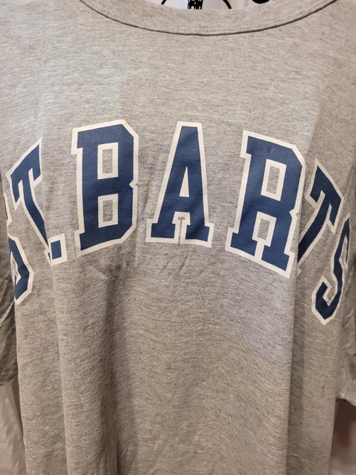 Zoe + Liv St. Barts Logo Graphic Gray Crew Neck Short Sleeve T-Shirt 3X gallery