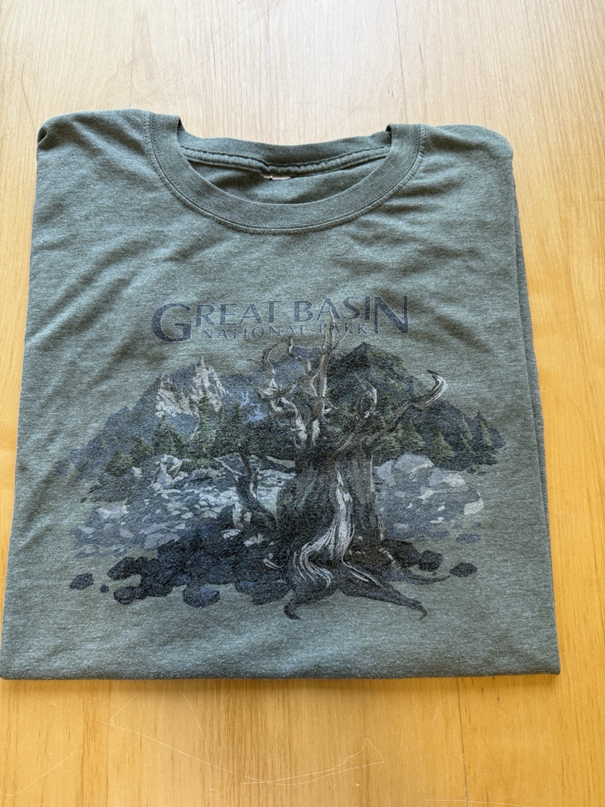 Great Basin National Park T Shirt Mens XL Green Nature Graphic Outdoor Tee gallery