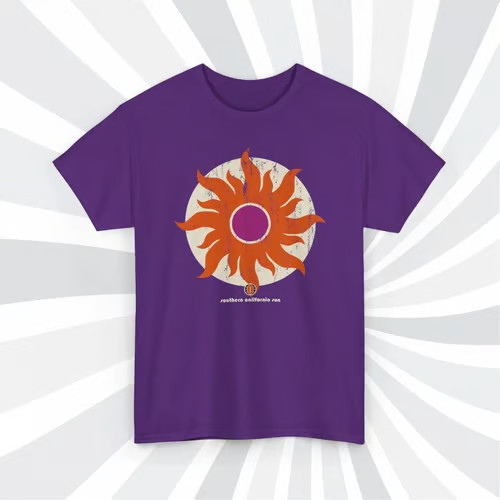 Southern California Sun 1974 WFL Football Grunge Logo T-Shirt