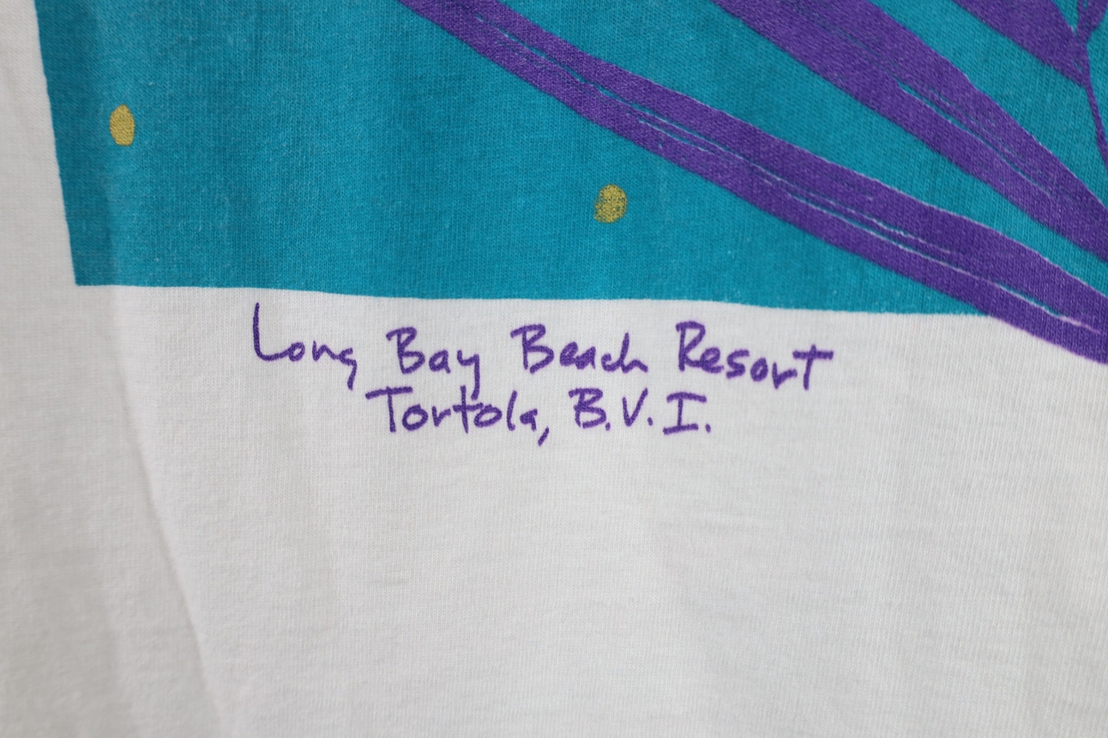 Vtg 90s Streetwear Mens Medium Long Bay Beach Virgin Islands Lizard T-Shirt USA gallery