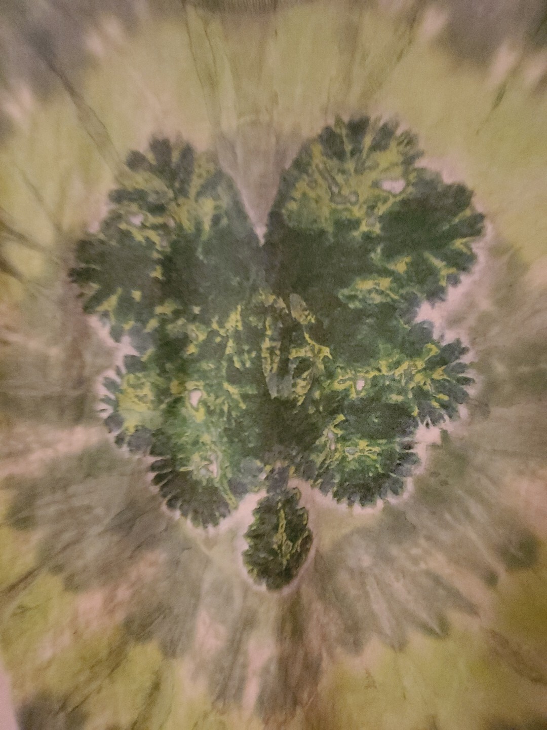 Tie Dyed Clover T-shirt Size S BG4 gallery