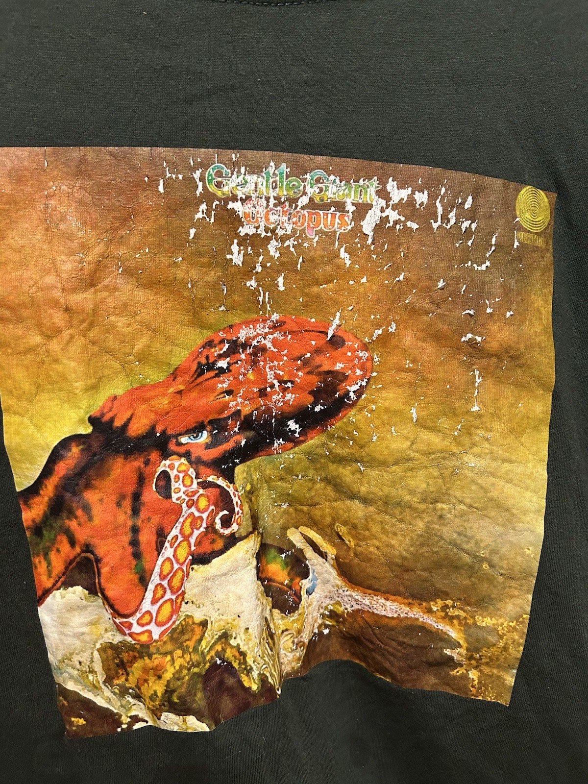 Gentle Giant Octopus Green Tshirt gallery