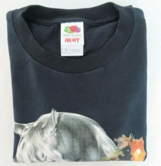 Sky Dancer Native Pride Horses, Graphite Men’s T-Shirt Size M.