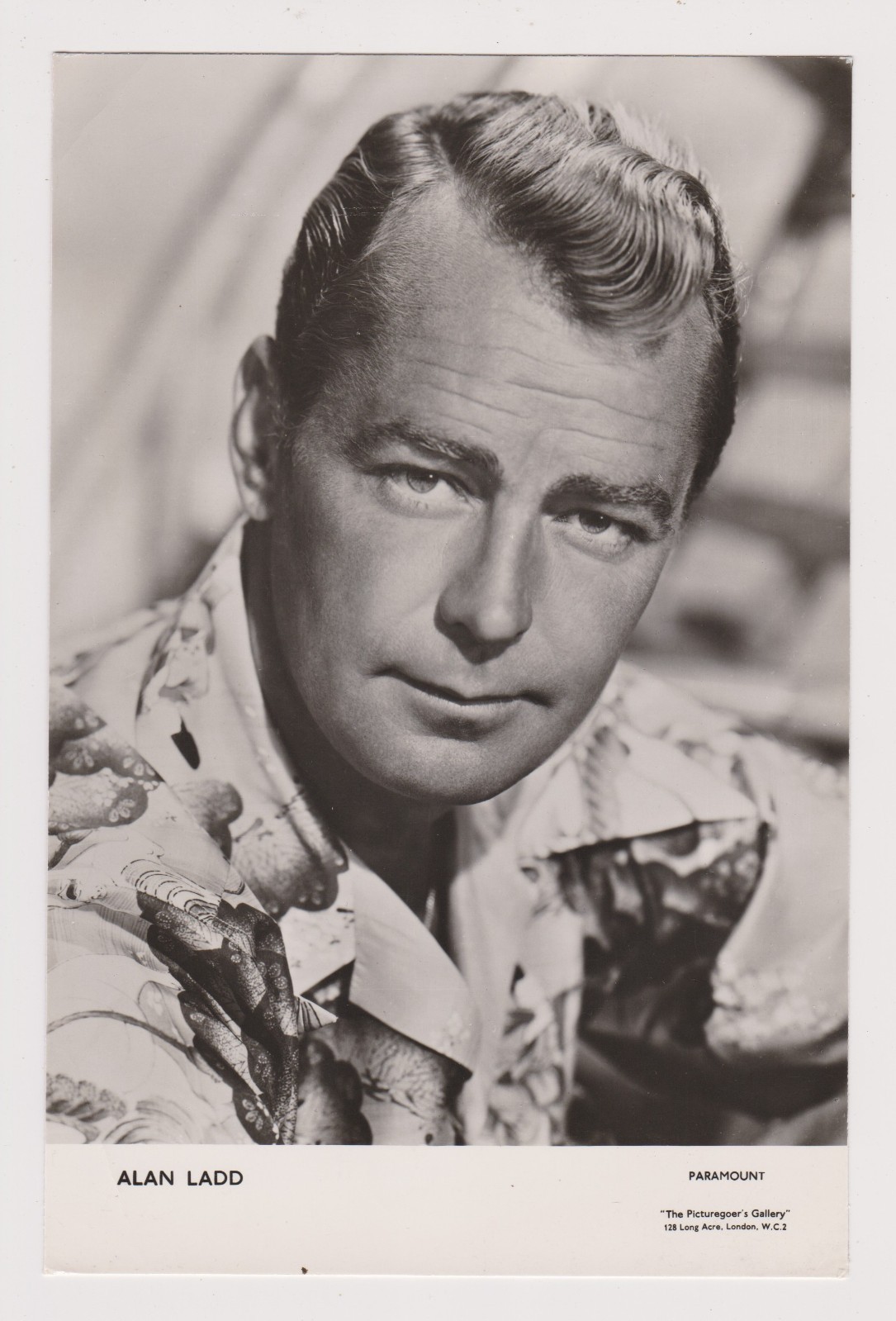Alan Ladd 1950s Picturegoer’s Gallery RP 6×9 Large Trading Card (wearing shirt)