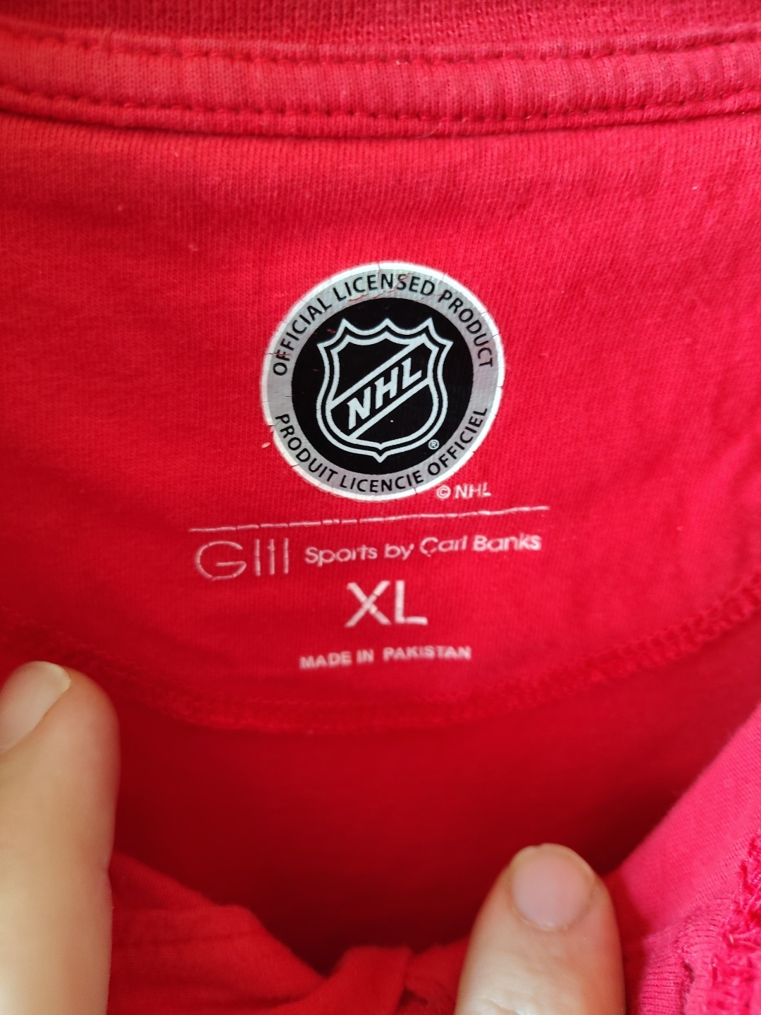 Detroit Red Wings Long Sleeve Shirt XL G3 Sports By Carl Banks Mens NHL hockey gallery