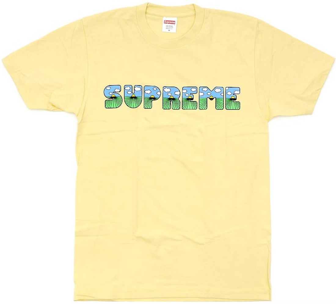 BRAND NEW SS16 SUPREME TEE T-SHIRT SH*T TEE 2016 YELLOW MEIDUM M BOX LOGO TNF