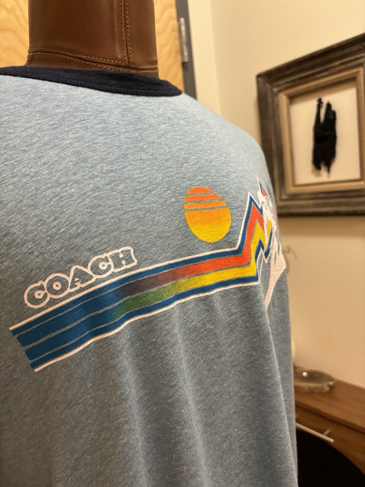 Designer COACH Brand Retro Ski Graphic T-Shirt Wool/Linen Size M (org $150) gallery
