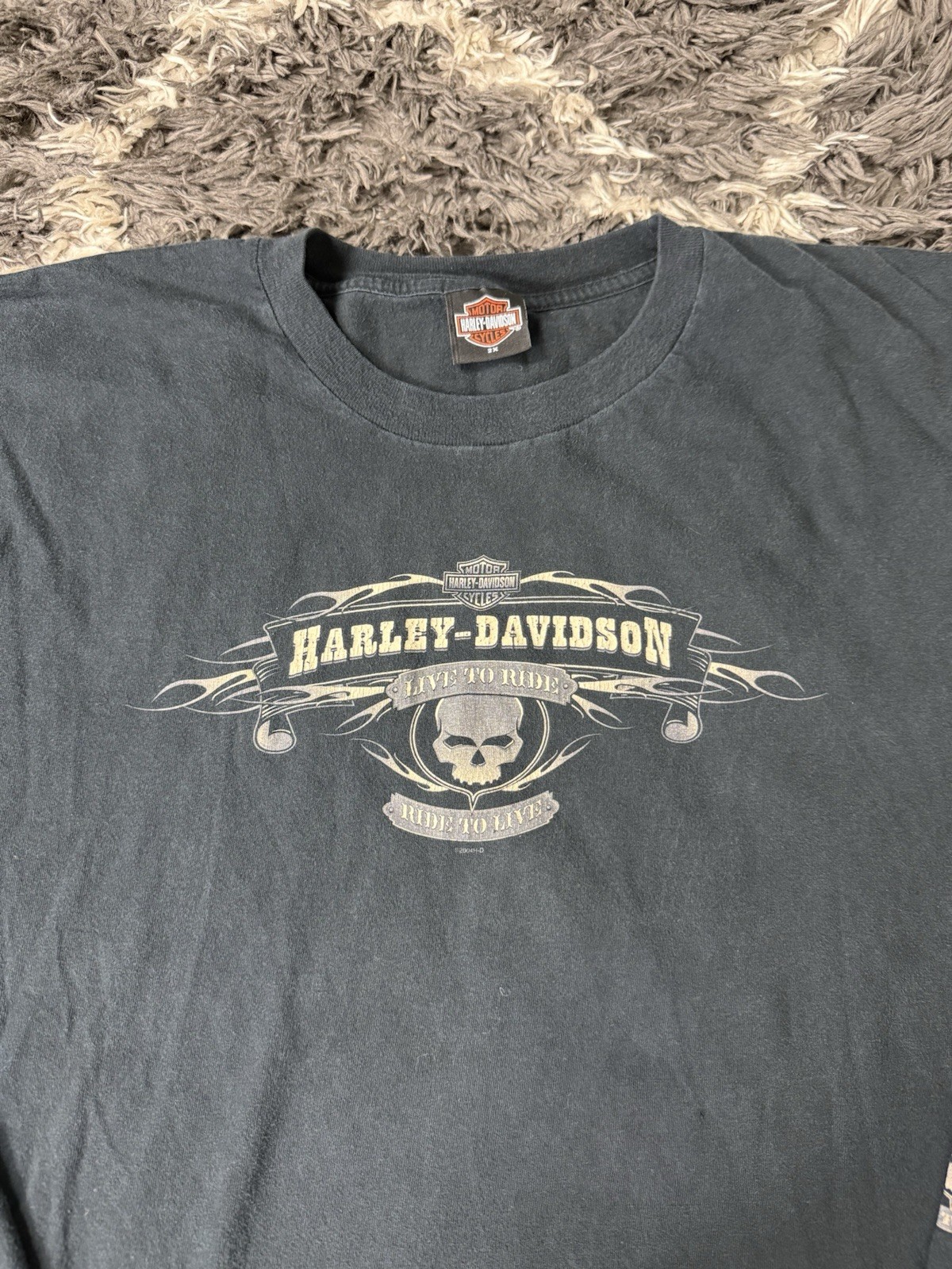 Vintage Harley Davidson T Shirt 2X Flame Naples Florida Lizard Skull Long Sleeve gallery