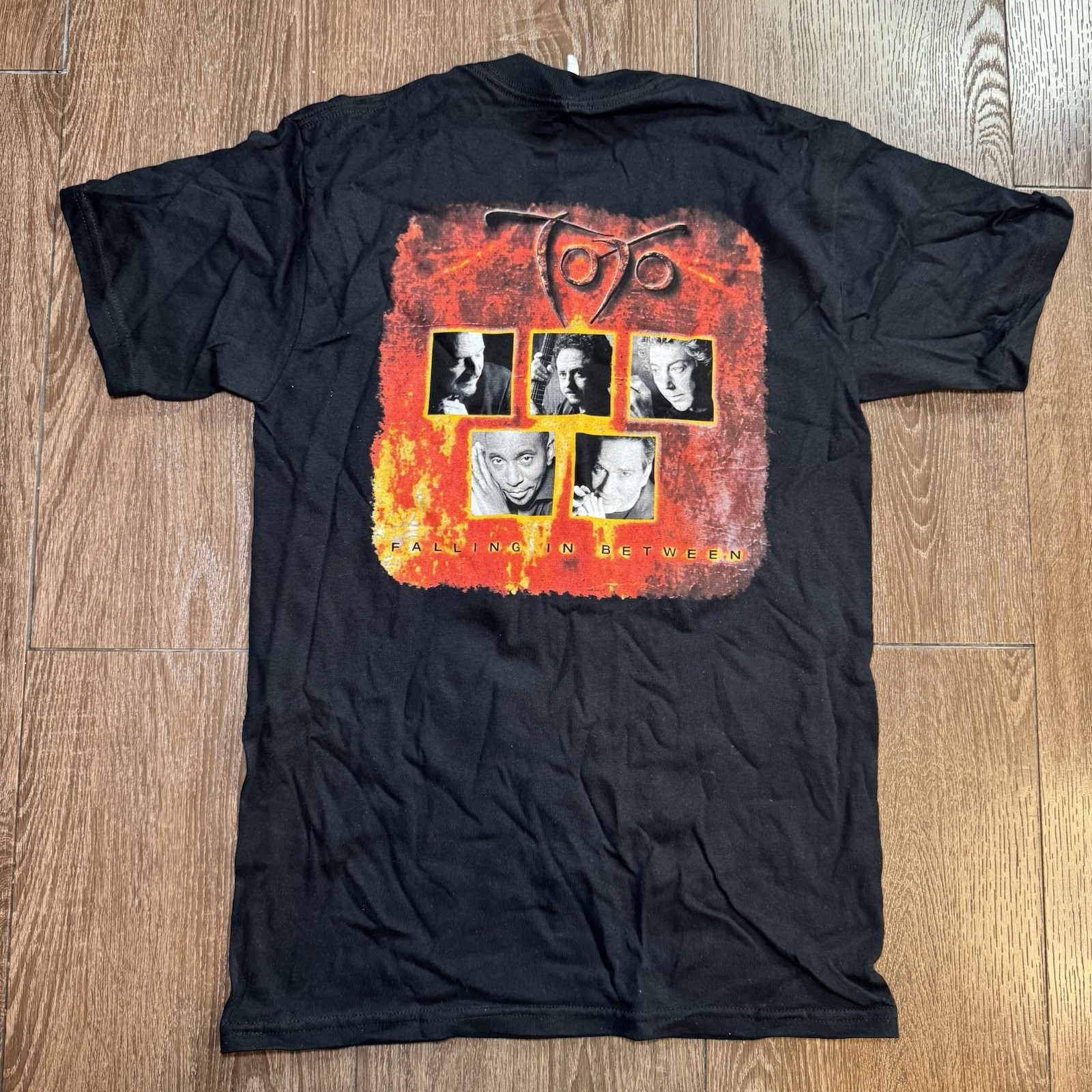 2006 TOTO “Falling In Between” Vintage Band Tee Bundle Of 4 Jerzees/Gildan gallery