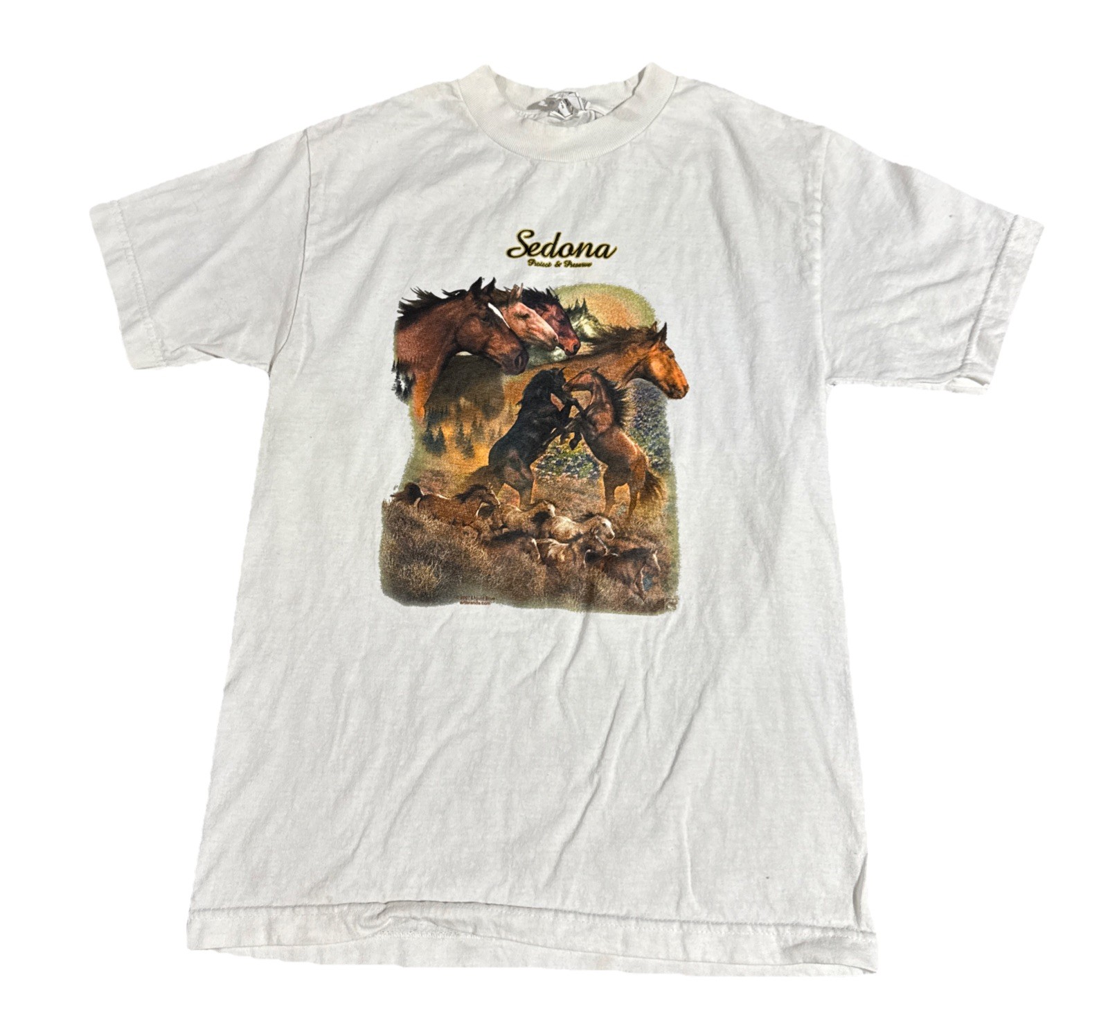 Vintage Sedona Arizona T Shirt Men’s Small Short Sleeve Horse Graphic Alstyle