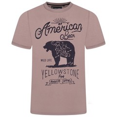 KAM American Bear Printed For Men in 4 Colours, 2XL-8XL
