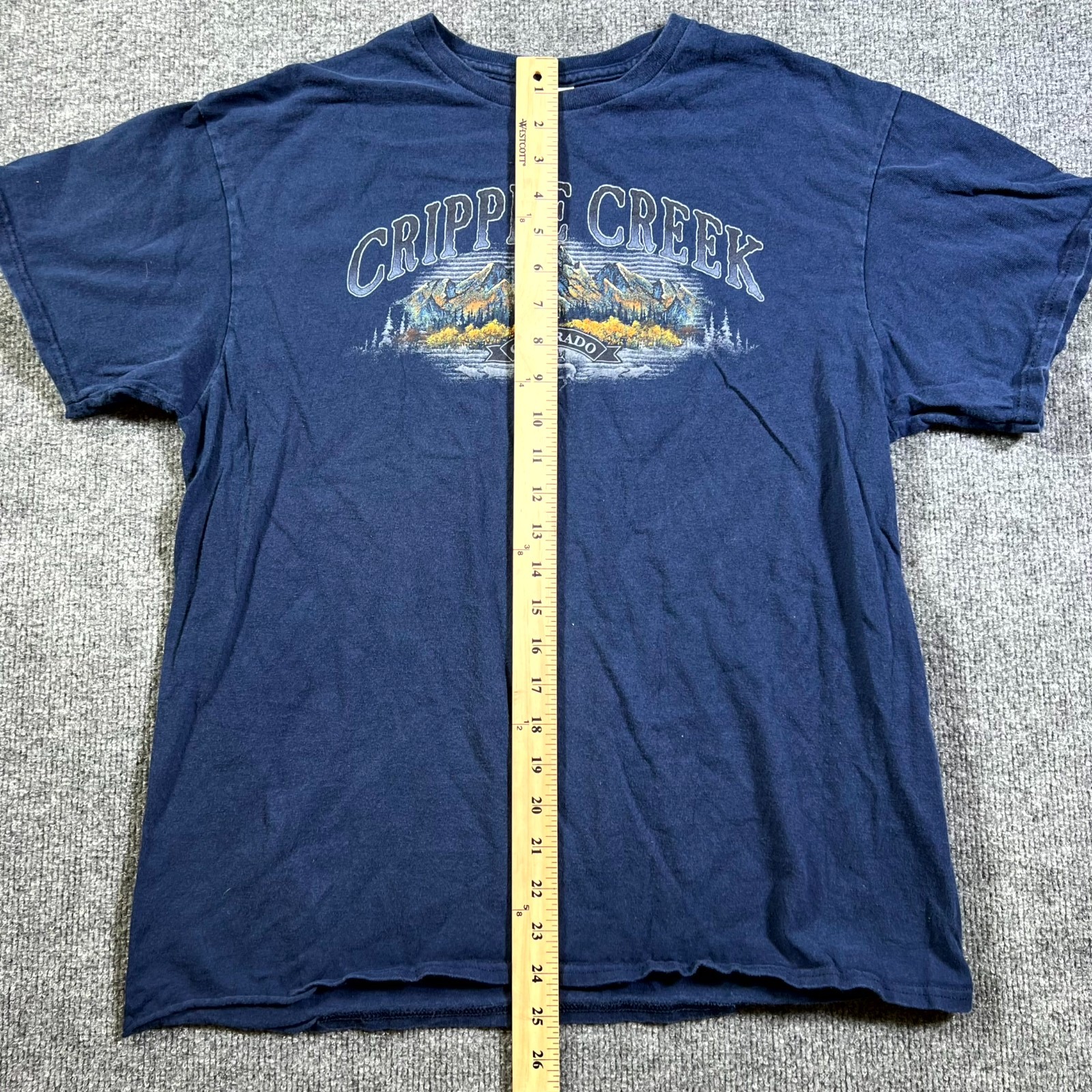 Delta Pro Weight T-Shirt Mens L Blue Cripple Creek Colorado Graphic Short Sleeve gallery