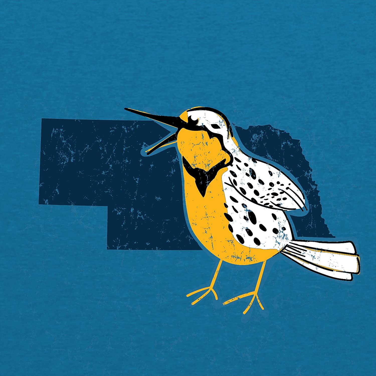 Nebraska State Bird - State Pride T Shirt - Heather Sapphire gallery