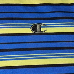 Champion Classic Tailored Stripe Short Sleeve T-Shirt Blue Green Black Men’s NWT