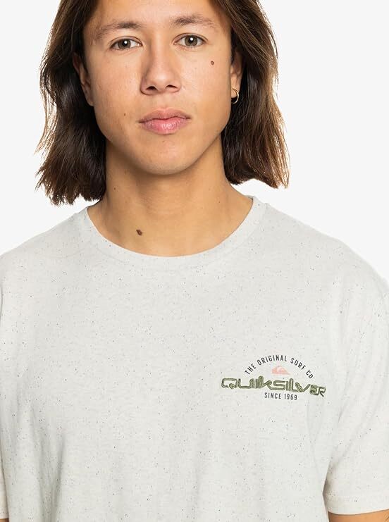 QUIKSILVER ARCHED TYPE MENS T-SHIRT BIRCH EQYZT07717 WDW0 S - XXL RRP £18 gallery
