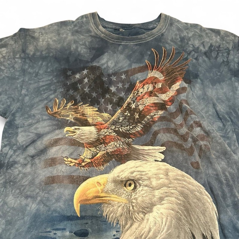 The Mountain 2011 Men’s American Eagle and Flag T-Shirt Sizing in Description gallery