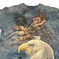 The Mountain 2011 Men’s American Eagle and Flag T-Shirt Sizing in Description