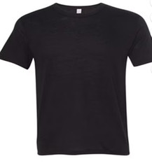 Hanes Brand Alternative Apparel Tee Shirts Men New
