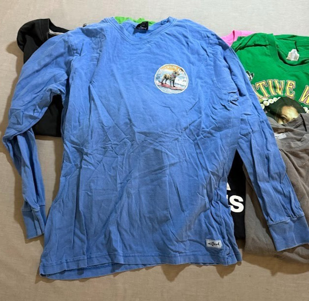 Lot of 8 Vintage & Modern Shirts Assorted Brands Mens Large Pullover Tee. gallery