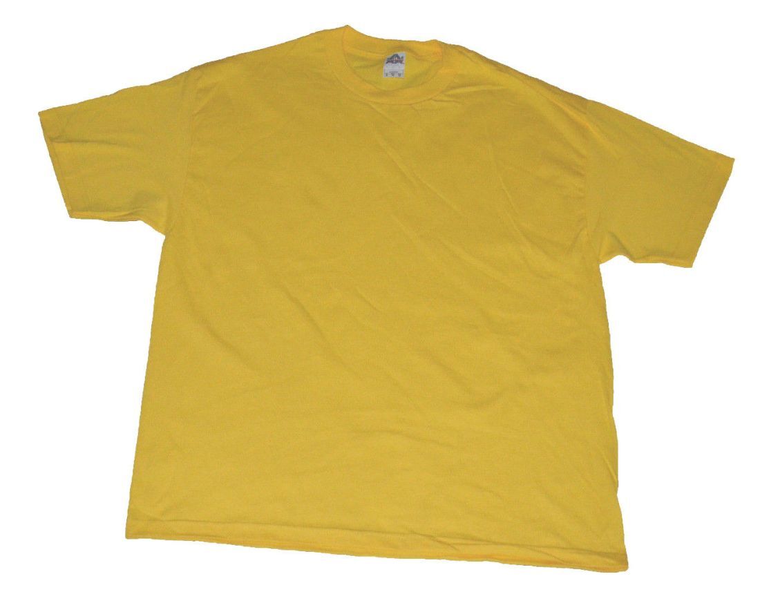 Alstyle Apparel & Activewear AAA Men's Classic Solid Plain T-Shirt Pack Of 1 pc gallery