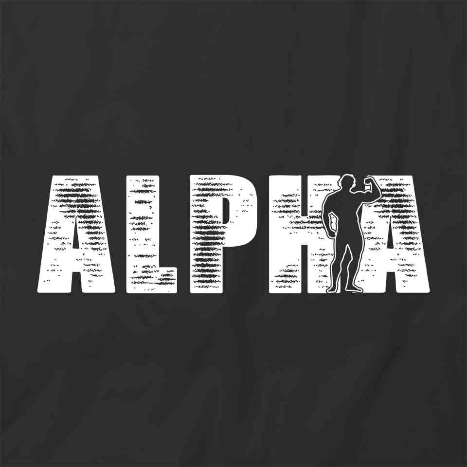 ALPHA FITNESS TShirt Tee Short-Sleeved Cotton CLOTHING S1BSA154 gallery