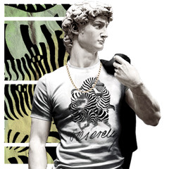 Abstract art, Zebra Symbolism WHITE REGULAR FIT T-Shirt