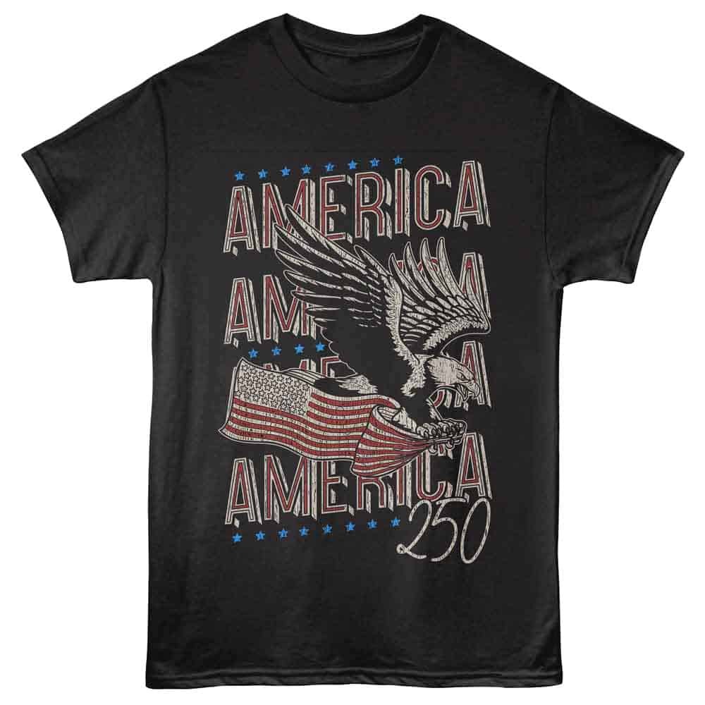 Bald Eagle America 250 Men’s T-Shirt