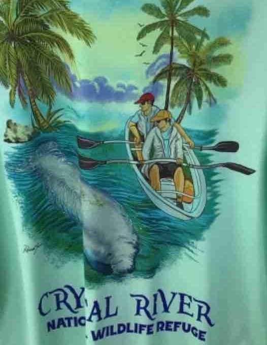 Long Sleeve Fishing Shirt,Microfiber,UPF Sun Protection, S to XL…..A12.A. gallery
