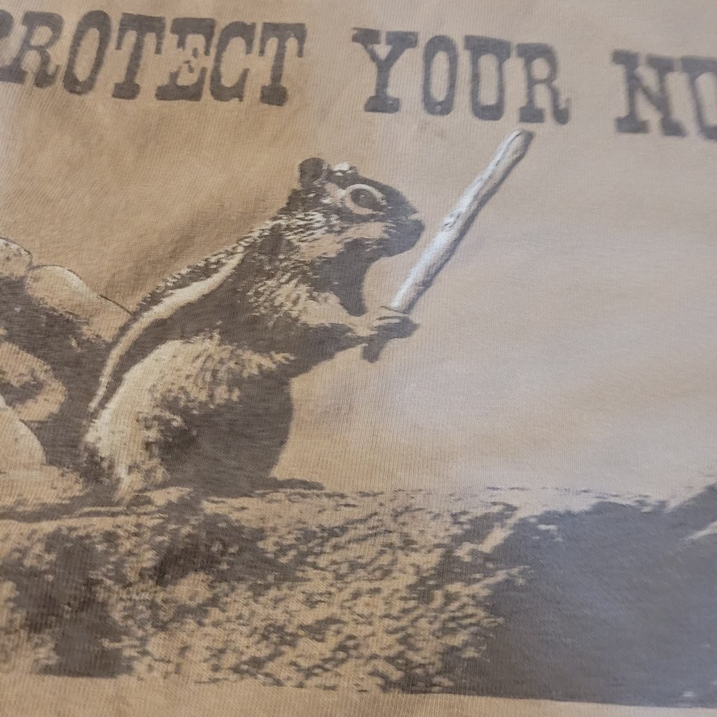 Alstyle Apparel 'Protect Your Nuts' Graphic T-Shirt gallery