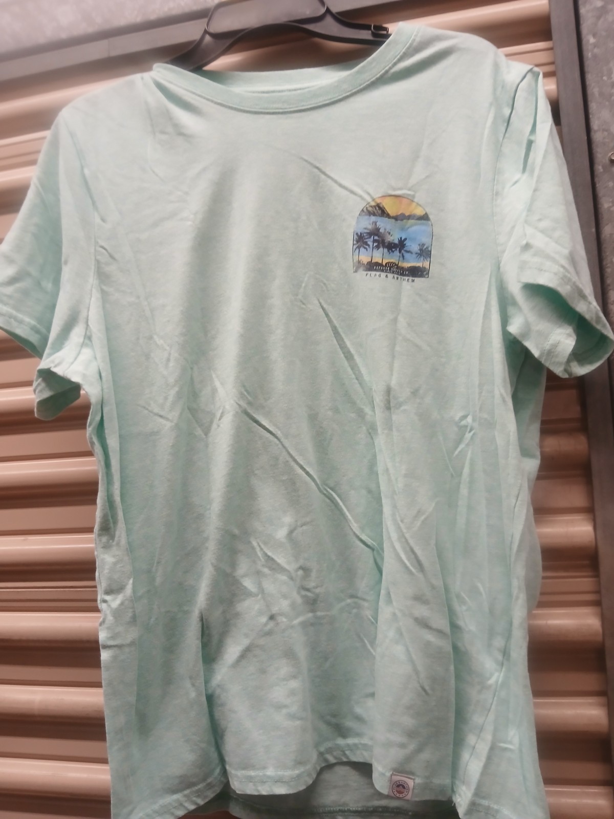 Flag & Anthem Mens Mint Green Short Sleeve Crew Neck Pullover T-Shirt Size L gallery