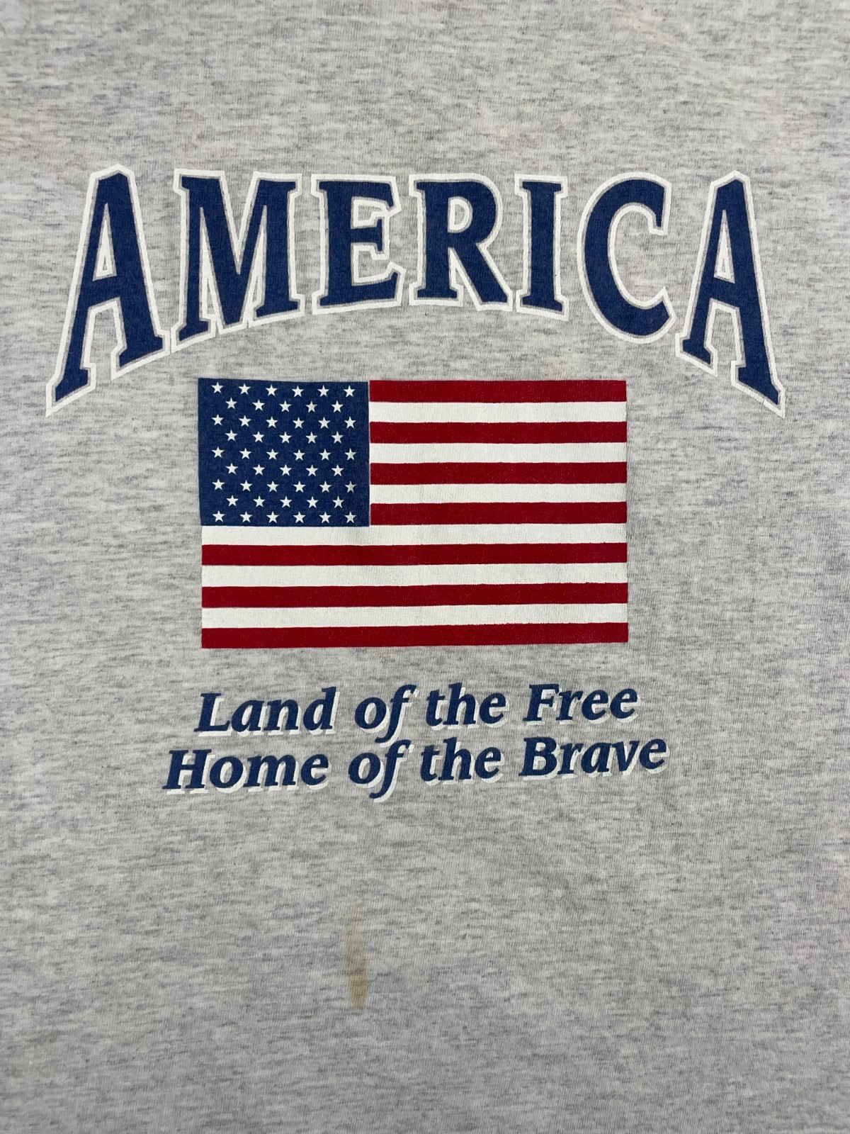 Vintage Hanes T-Shirt Mens XL America Land of the Free Home of the Brave Gray gallery