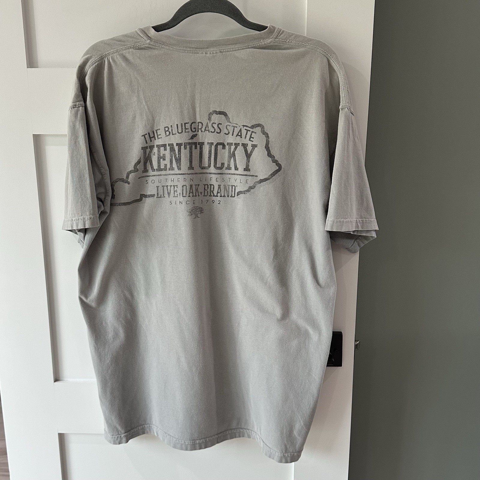 Live Oak Brand Tshirt Custom Colors Size Large Cotton Kentucky Bluegrass Gray gallery