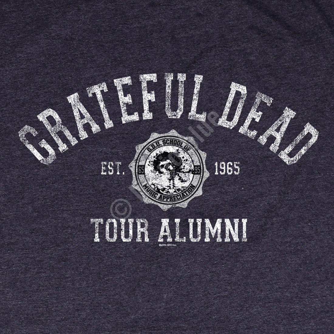 GRATEFUL DEAD-BERTHA TOUR ALUMNI-T-SHIRT S-M-L XL-2X Garcia,Lesh,Wier,Kreutzman gallery