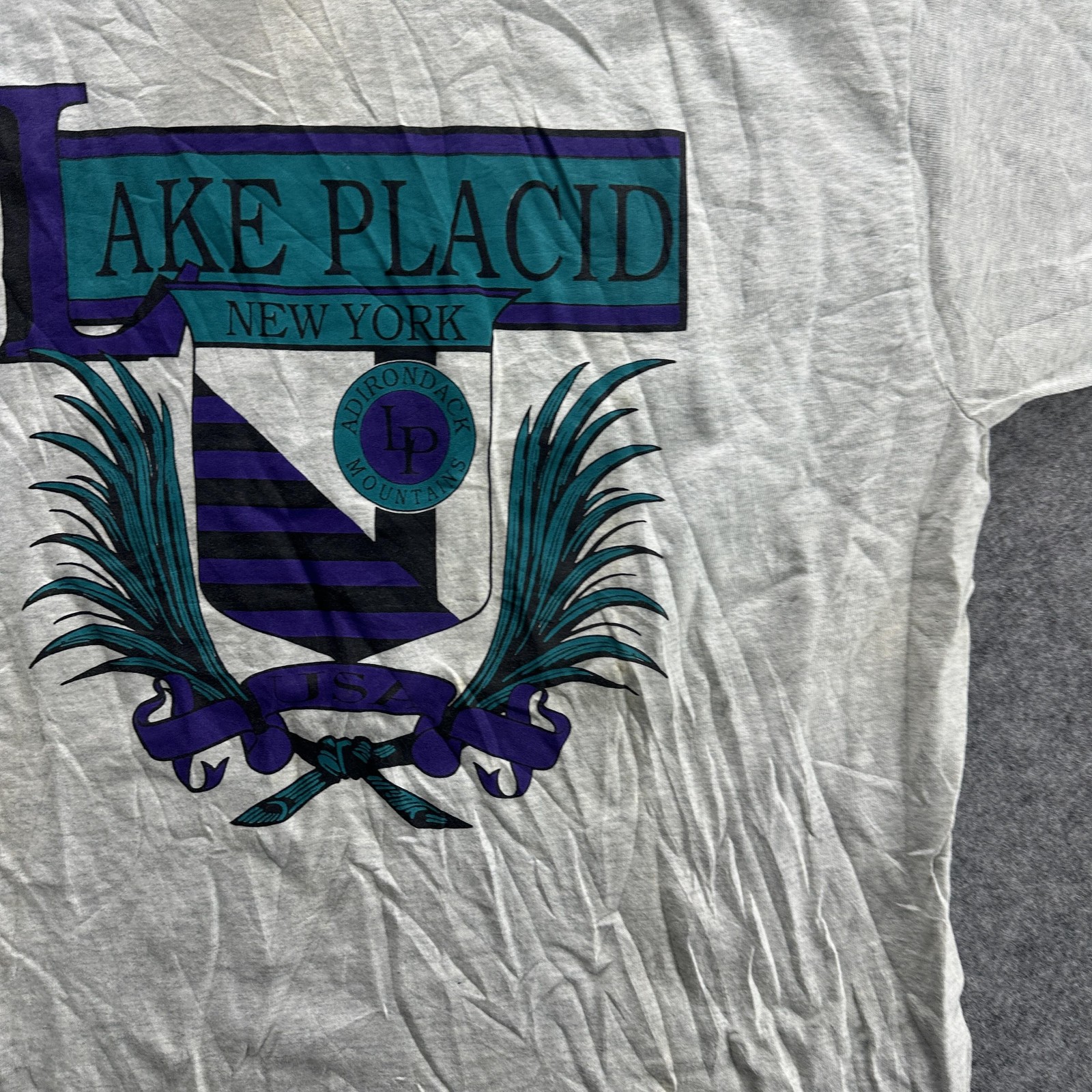 Vintage Lake Placid Shirt Mens Large Gray Adirondack Mountains Crest 90s Tee USA gallery