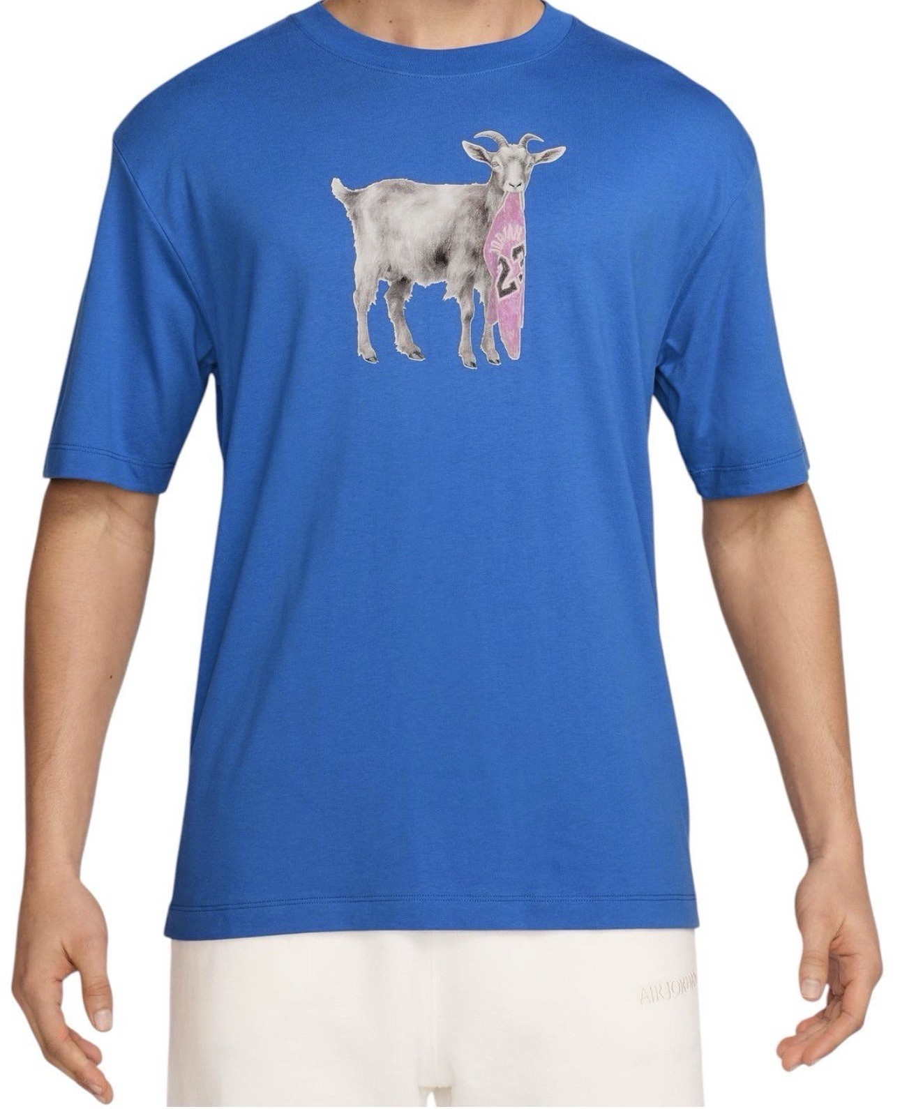 Air Jordan “THE GOAT” Men’s T Shirt Size Large New Blue