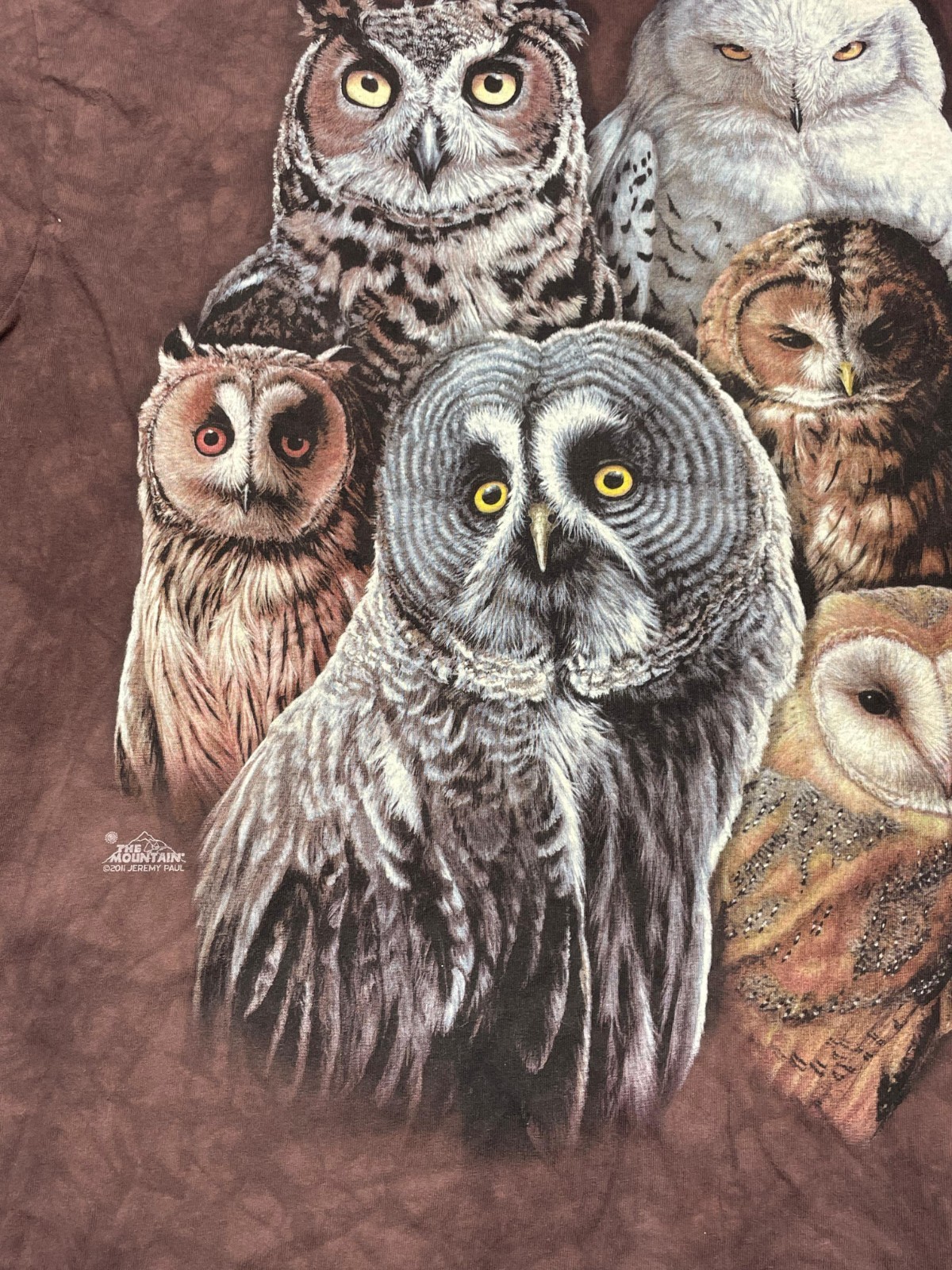The Mountain T-Shirt Mens XL Owl BIG Print Tie Dye Brown 2000’s Y2K Animal Print gallery