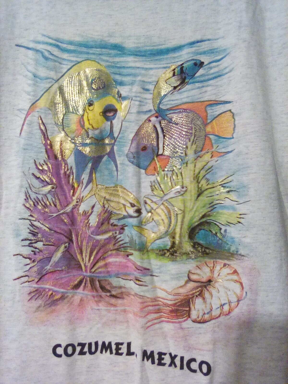 NEW Cozumel Mexico T Shirt Heather Grey with Tropical Fish gallery