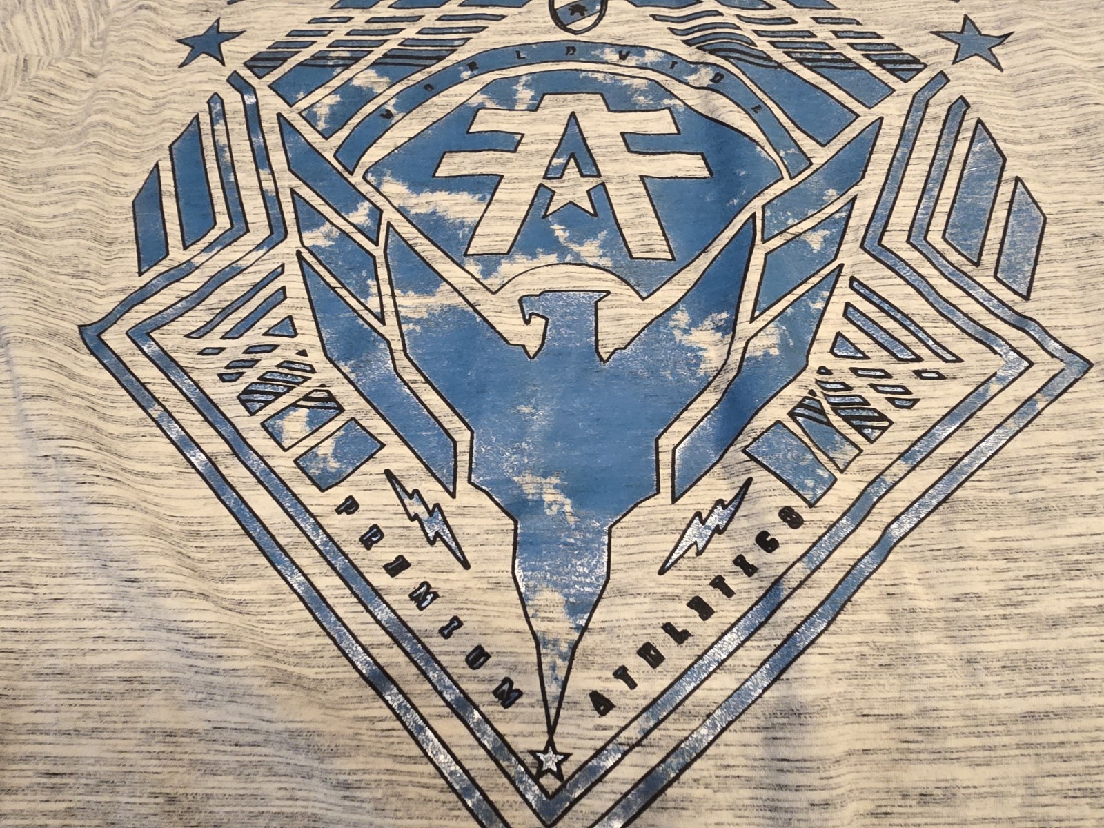 American Fighter Premium Athletic Mens Sz XL T-Shirt MMA Gray Blue Shiny Graphic gallery