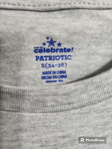 NWT AMERICA TRUE TO THE RED WHITE & BLUE MENS GRAY T-SHIRT SIZE S (34-36) gallery